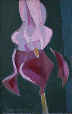 Willi_Helbling_60thumb